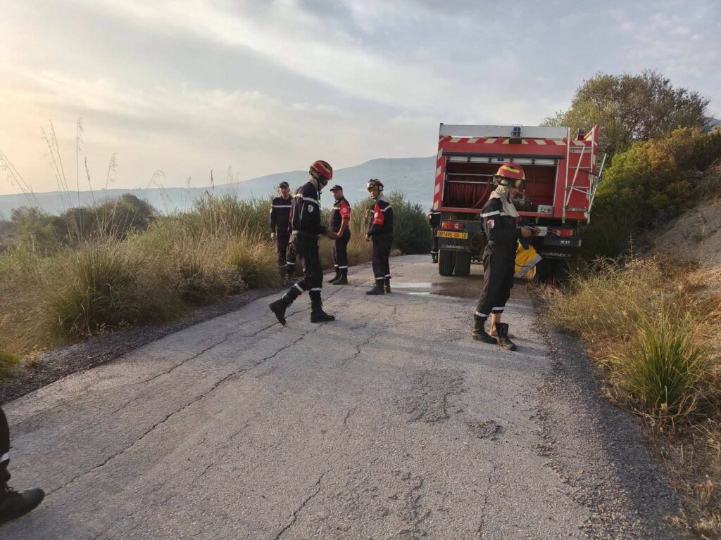 Incendies en Algérie : Guelma en proie au brasier ! ( IMAGES ) 2 1000161014