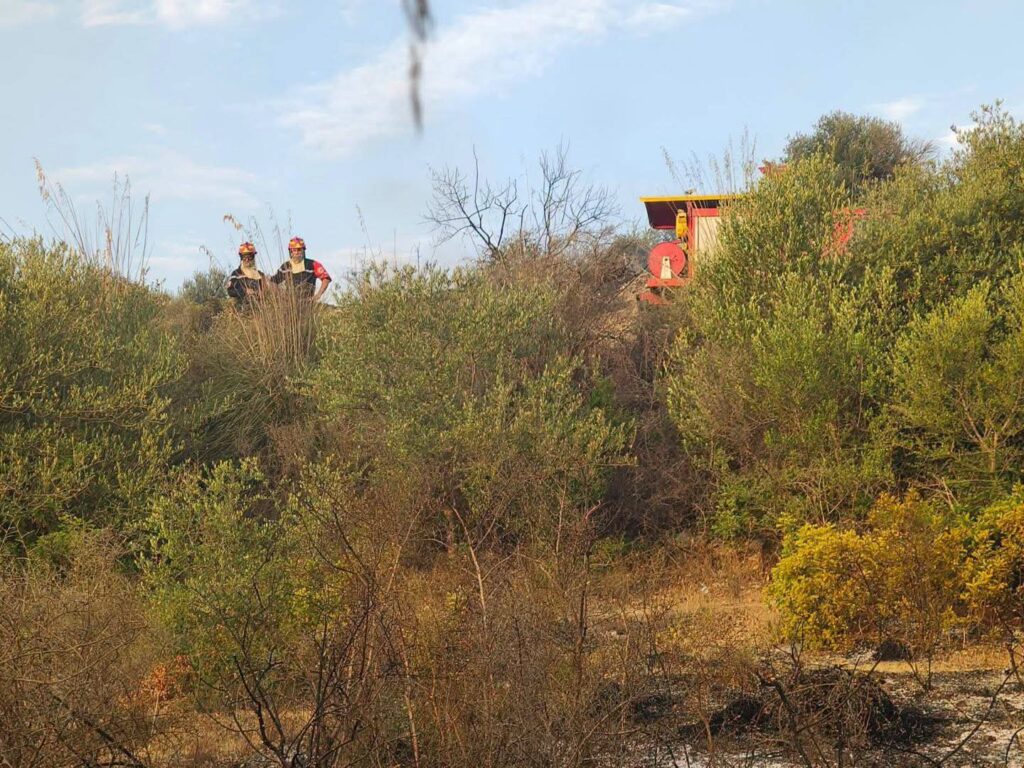 Incendies en Algérie : Guelma en proie au brasier ! ( IMAGES ) 3 1000161015