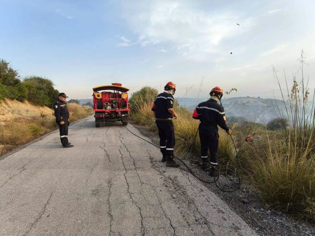 Incendies en Algérie : Guelma en proie au brasier ! ( IMAGES ) 4 1000161016
