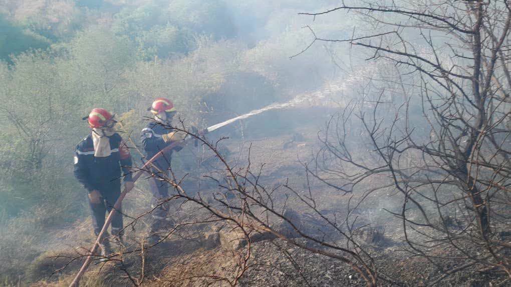 Incendies en Algérie : Guelma en proie au brasier ! ( IMAGES ) 5 1000161017
