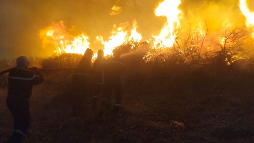 Incendies en Algérie : Guelma en proie au brasier ! ( IMAGES ) 8 1000161018