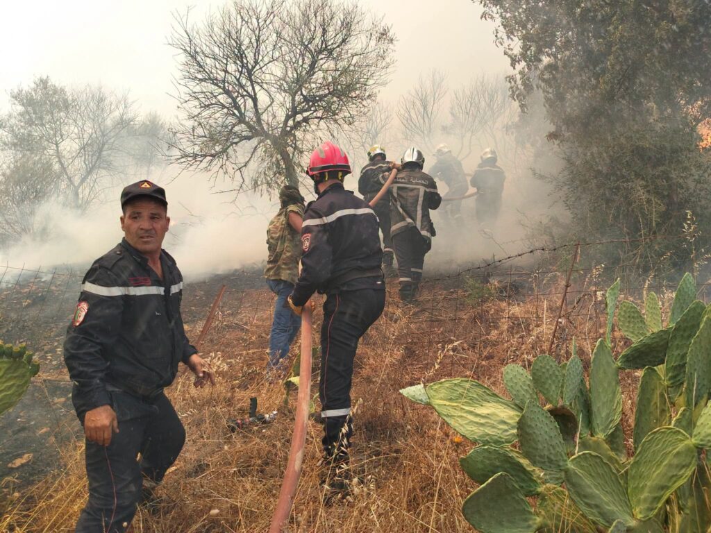 Incendies en Algérie : Guelma en proie au brasier ! ( IMAGES ) 6 1000161019