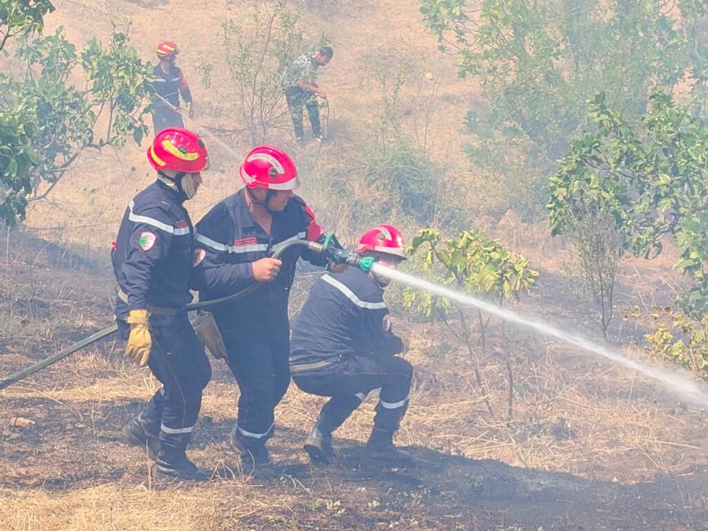Face à l'enfer des flammes en Algérie : L'incroyable héroïsme des Soldats du feu ( images ) 4 1000161115