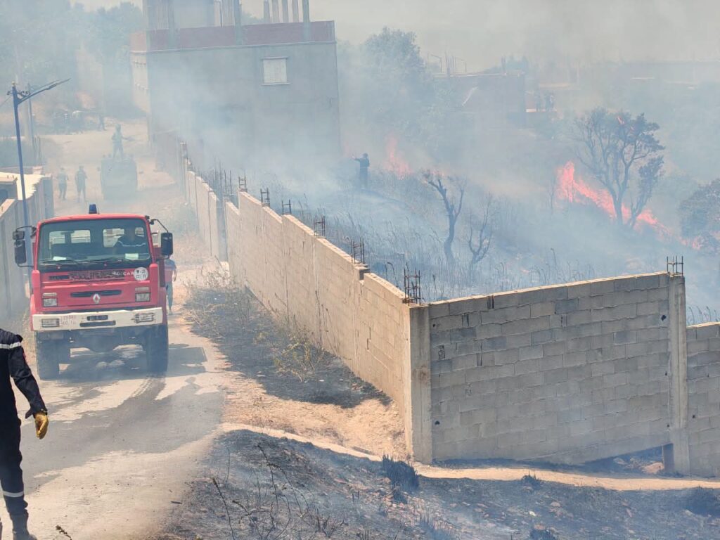 Face à l'enfer des flammes en Algérie : L'incroyable héroïsme des Soldats du feu ( images ) 5 1000161116