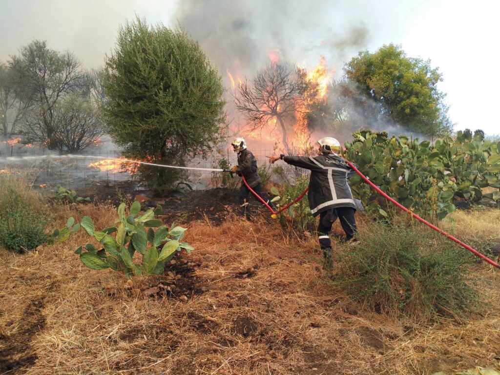 Face à l'enfer des flammes en Algérie : L'incroyable héroïsme des Soldats du feu ( images ) 1 1000161121