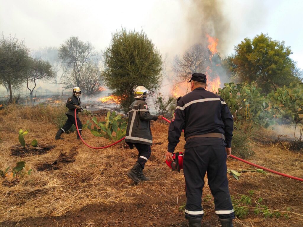 Face à l'enfer des flammes en Algérie : L'incroyable héroïsme des Soldats du feu ( images ) 2 1000161122