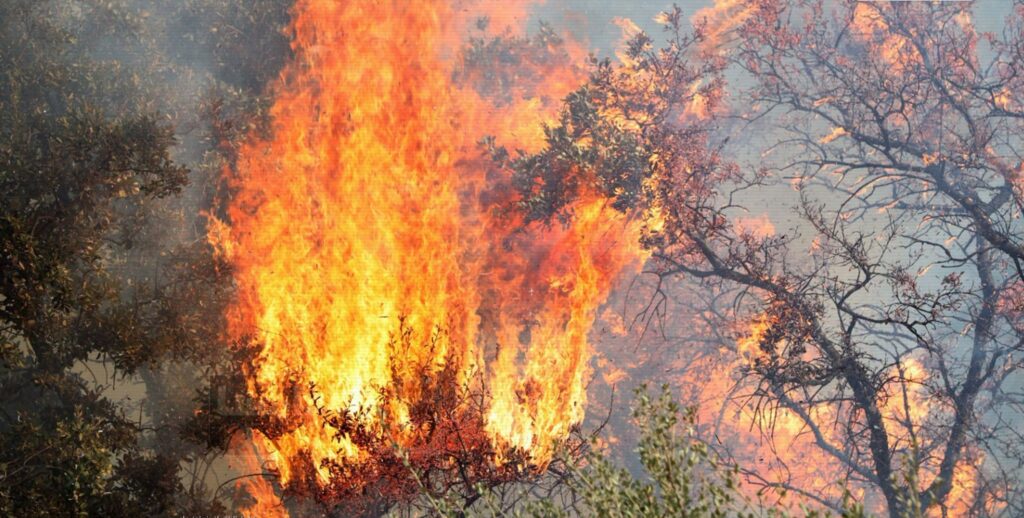 Incendies en Algérie : Beni Mouhli doublement endeuillée après le décès héroïque du jeune bénévole Mohand Oulhadj La commune de Beni Mouhli (Sétif) est doublement endeuillée après la perte tragique de Mohand Oulhadj, jeune bénévole héroïque face aux incendies en Algérie.