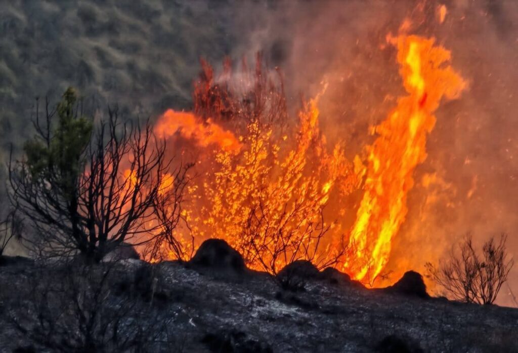 Feux de forêt en Algérie : La Kabylie face au brasier, mobilisation maximale à Tizi-Ouzou, Béjaïa et Bouira Face à 114 incendies en Algérie, la Kabylie est en alerte maximale. Découvrez le point sur la situation à Tizi-Ouzou, Béjaïa et Bouira ce 12 juillet.