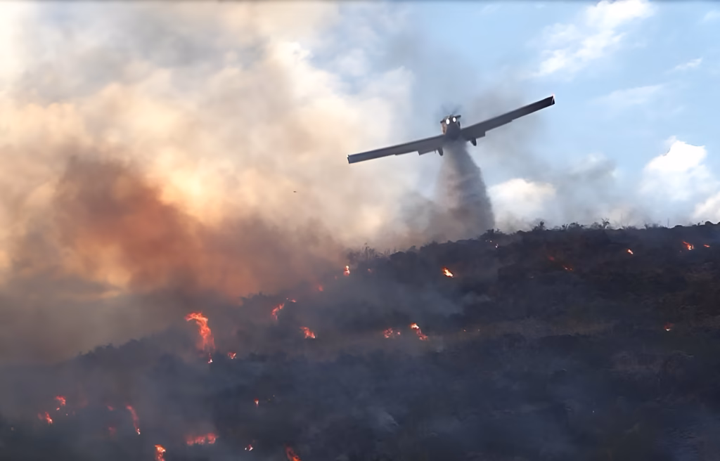 Face aux violents incendies attisés par la canicule en Algérie, l'État déploie des moyens aériens et terrestres exceptionnels. Le point sur la situation