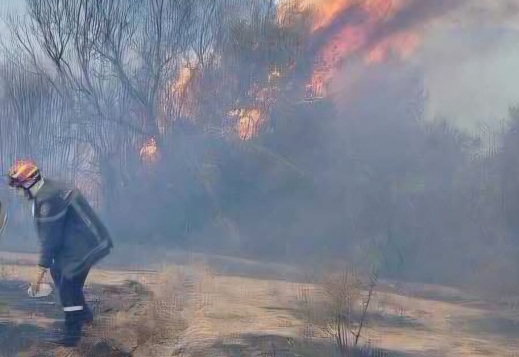 Canicule et incendies en Algérie : Mobilisation générale et alerte maximale de la Protection civile Face aux risques majeurs d'incendies en Algérie et des températures à 48°C, la Protection civile mobilise ses agents dans 44 wilayas.