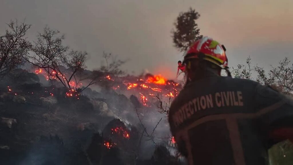 Incendies en Algérie : Le feu de forêt à Bir Esslem menace les riverains à l'entrée de Béjaïa. Le wali supervise des opérations d'extinction massives.