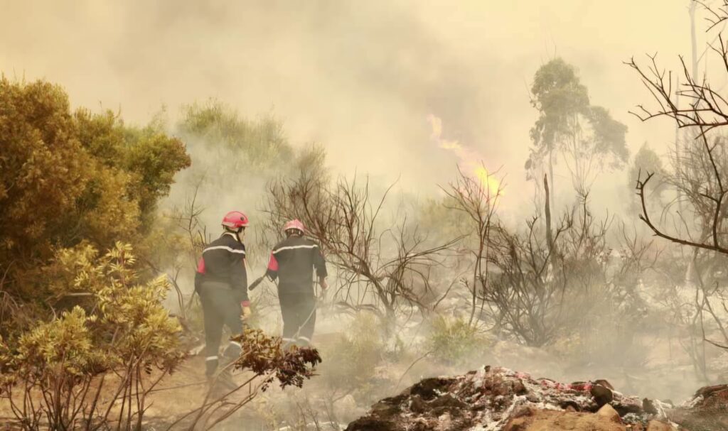 Face à l’enfer des flammes en Algérie : L’incroyable héroïsme des Soldats du feu ( images ) Face à la canicule et aux feux de forêt en Algérie, les pompiers, l'ANP et les gardes forestiers luttent sans relâche. Découvez le récit d'un héroïsme national.