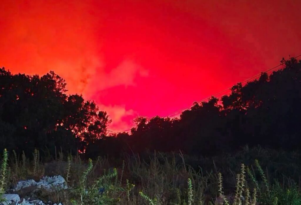 Un gigantesque incendie ravage les forêts de Seraïdi à Annaba. Évacuation de l'hôpital, pompiers et moyens aériens mobilisés : découvrez la situation en direct.