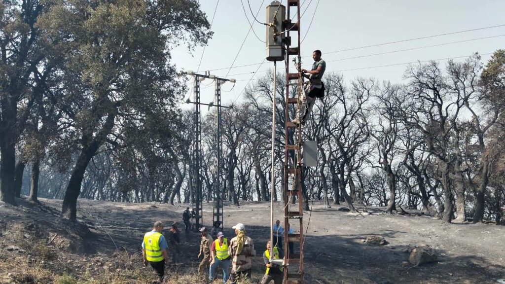 Après les tragiques incendies à Seraïdi (Annaba), Sonelgaz active une cellule de crise 24h/24. Découverte des actions d'urgence pour sécuriser et rétablir l'électricité et le gaz.