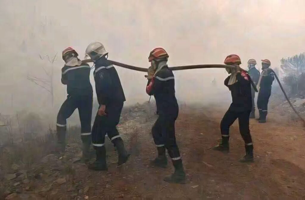 Face aux feux de forêt en Algérie, le président Tebboune adresse un message de gratitude et de soutien indéfectible aux effectifs de la Protection civile.