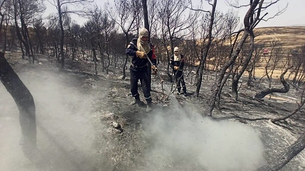 Feux de forêt en Algérie : la Protection civile maîtrise près de 60 % des foyers. Bilan complet, moyens aériens (BE-200) et wilayas touchées ce 25 juillet.