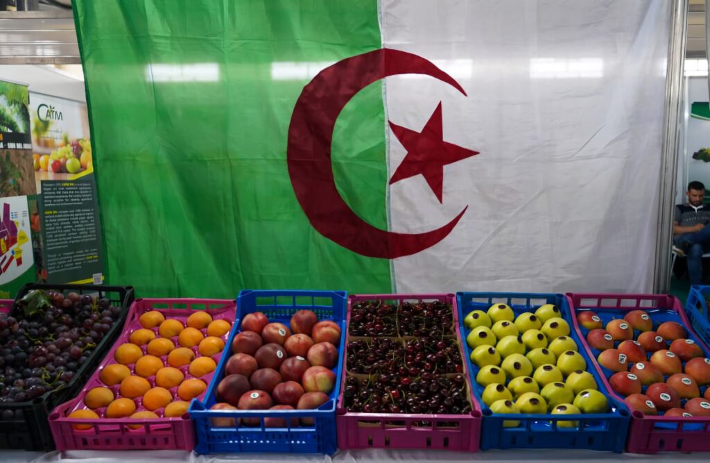Découvrez comment Sidi Bel Abbès devient le tremplin de l'exportation des fruits algériens.