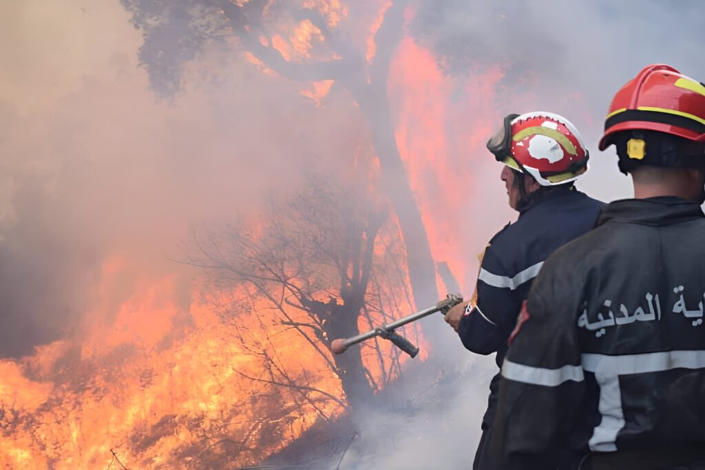 Incendies en Algérie : L’enfer des flammes frappe de plein fouet Ouzellaguen à Béjaïa Urgence en Algérie : la commune d'Ouzellaguen (Béjaïa) est ravagée par de violents incendies. 10 villages sont cernés par les flammes. Bilan et secours en direct.