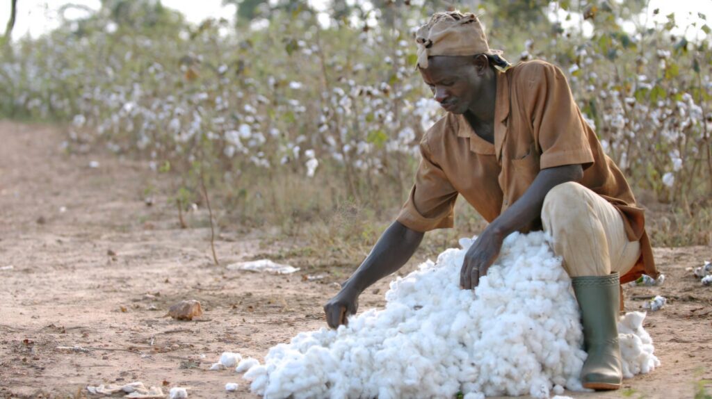 Textile : Pourquoi l’Algérie est devenue la cible prioritaire des géants mondiaux du coton Découvrez comment l'Algérie réinvente son industrie textile et vise la souveraineté.