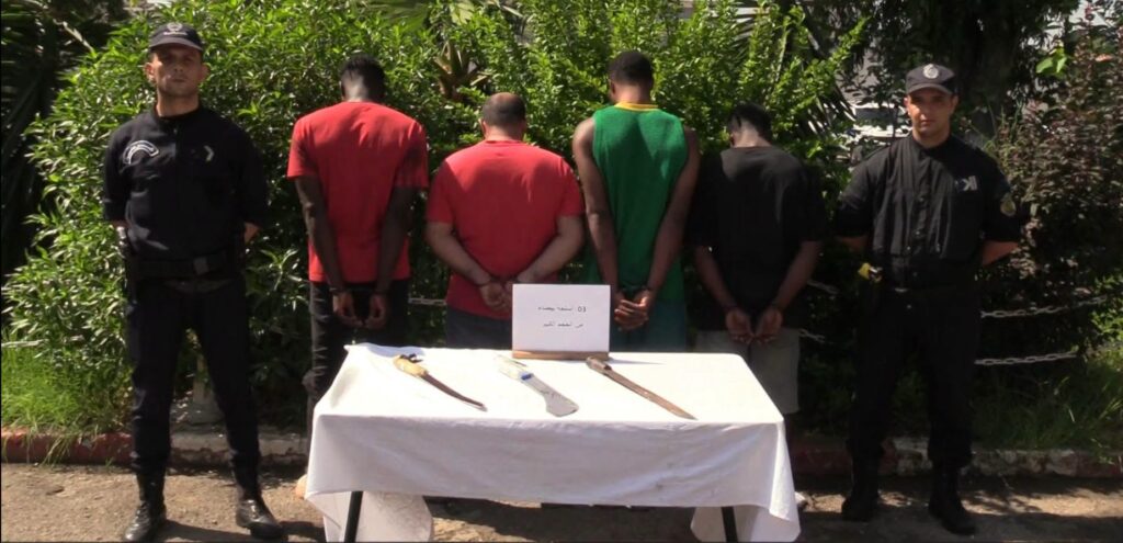 Kidnapping à Ardis (Alger) : L’otage libéré sain et sauf après un raid policier héroïque L'angoisse tourne au soulagement à Alger. Enlevée sur le parking d'Ardis, la victime a été libérée saine et sauve par la police. Découvrez les détails.