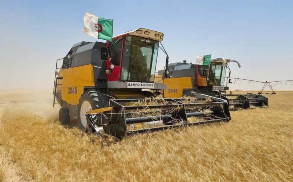 Face à une moisson céréalière 2026 record en Algérie, le gouvernement déploie un plan stratégique pour optimiser la disponibilité des moissonneuses-batteuses.