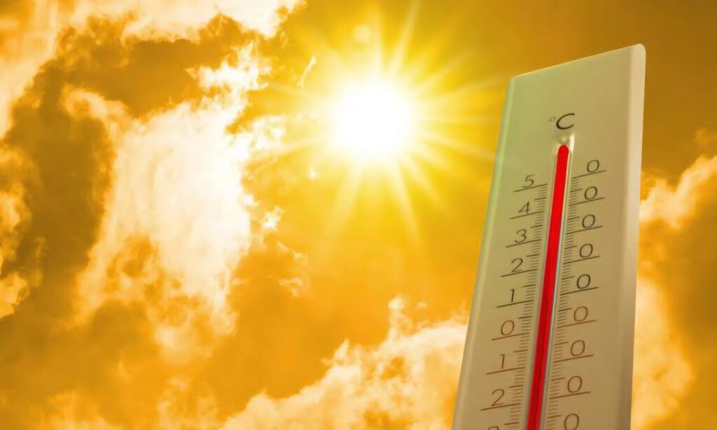 Météo extrême : cette ville d’Algerie décroche le titre de ville la plus chaude du monde avec près de 50 °C ! images 57
