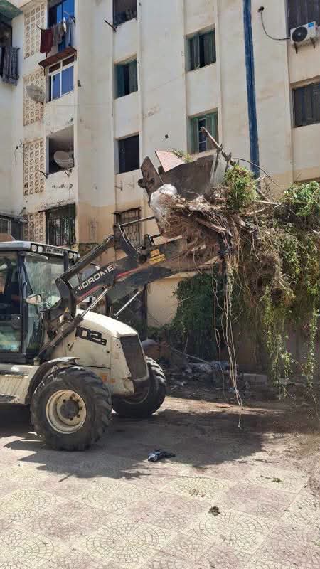 Extensions anarchiques à Alger : la tolérance zéro face au squat de l'espace public 3 1000163922