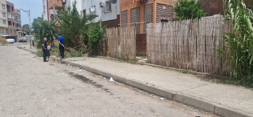 Extensions anarchiques à Alger : la tolérance zéro face au squat de l'espace public 2 1000163923