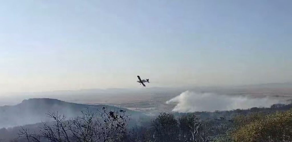 Algérie : Un gigantesque incendie ravage Khenchela, l'ANP et les bombardiers d'eau déployés 2 1000166207
