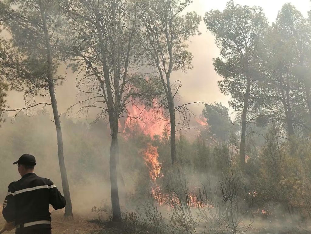 Algérie : Un gigantesque incendie ravage Khenchela, l'ANP et les bombardiers d'eau déployés 3 1000166208
