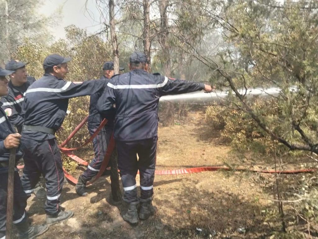 Algérie : Un gigantesque incendie ravage Khenchela, l'ANP et les bombardiers d'eau déployés 4 1000166209