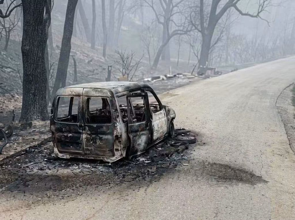 Incendies en Algérie : la wilaya de Jijel au cœur de la bataille contre les flammes 1 1000167121