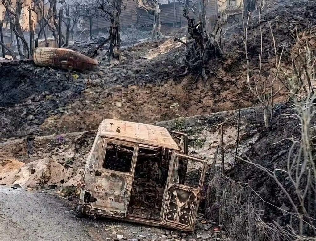 Incendies en Algérie : la wilaya de Jijel au cœur de la bataille contre les flammes 3 1000167123