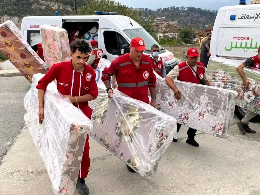 Incendies en Algérie : la solidarité nationale au secours des sinistrés, de Jijel à la Kabylie 3 1000167531