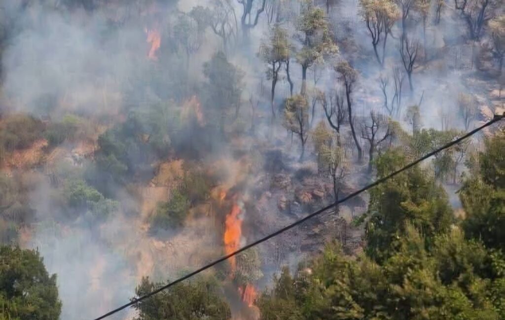 Alerte canicule en Algérie : Tizi-Ouzou sous le feu des flammes, Yakouren en première ligne Canicule extrême en Algérie (BMS Météo) et violent incendie à Yakouren (Tizi-Ouzou). Le village de Tamliht menacé par les flammes : point sur la situation.