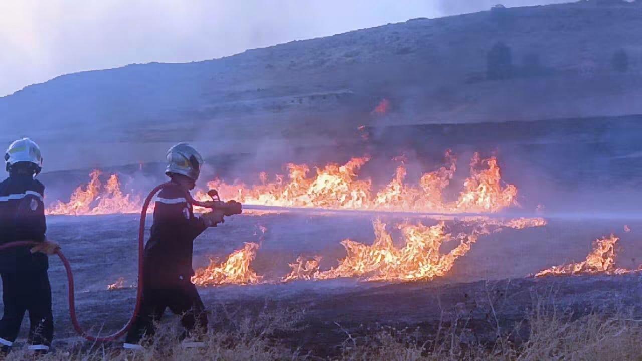 Incendies de forêt en Algérie : explosion des foyers et mobilisation générale de la Protection civile