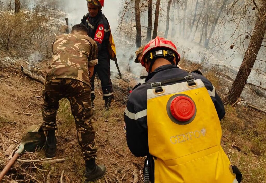 Face aux violents incendies en Algérie, le bilan humain s'alourdit à Béjaïa avec 6 morts et 60 blessés. Point sur la situation, les secours et les enquêtes.