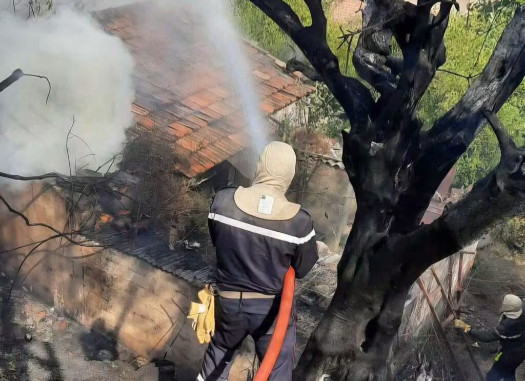 Feux de forêt en Algérie : nette baisse des foyers grâce à la Protection civile. Près de 70 % des incendies maîtrisés. Bilan et situation par wilaya.