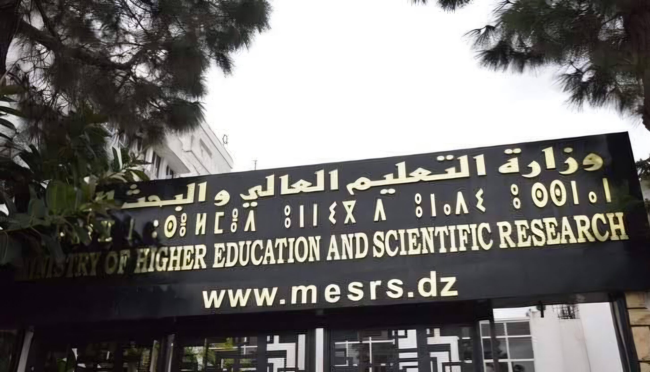 Rentrée universitaire 2027 en Algérie : le calendrier officiel et le programme des préparatifs