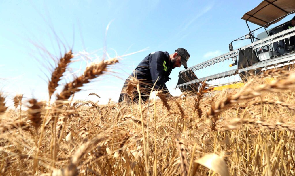 ​La campagne de moisson-battage 2026 à Bouira franchit la barre des 1,2 million de quintaux. Bilan, collecte et préparation de la saison agricole 2026-2027.