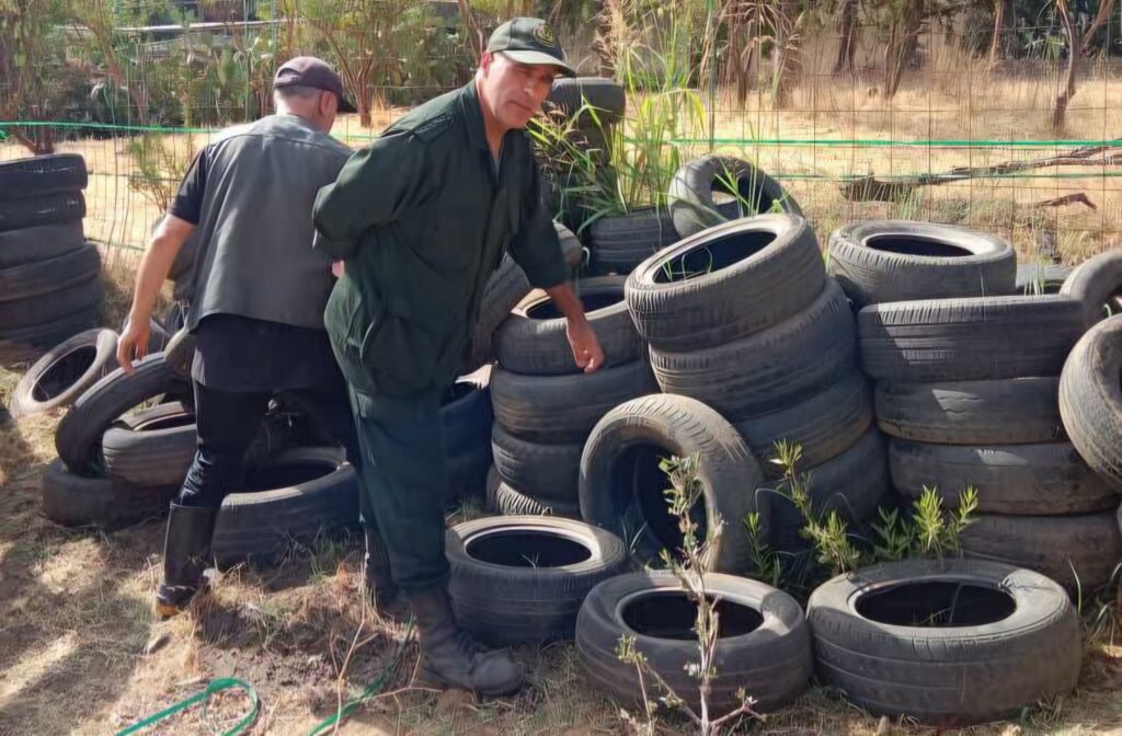 Face aux incendies en Algérie, Tizi-Ouzou nettoie ses forêts : une collecte massive de pneus usagés est lancée pour éliminer ces accélérateurs de feu.