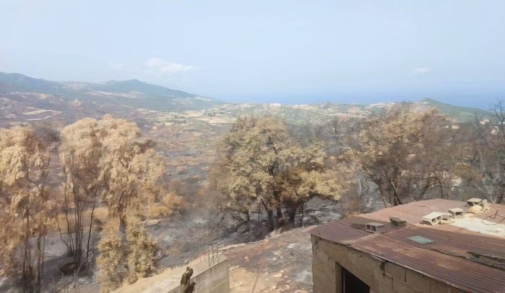 Tizi-Ouzou boucle le recensement de 98% des agriculteurs touchés par les incendies.